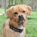 Photo of Bilbo