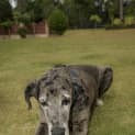 Photo of Ralph