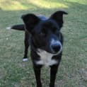 Photo of Zip *On Trial In Her New Home*