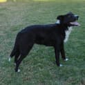 Photo of Zip *On Trial In Her New Home*