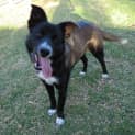 Photo of Zip *On Trial In Her New Home*