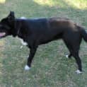 Photo of Zip *On Trial In Her New Home*