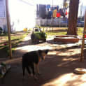 Photo of Zoe