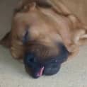 Photo of Jub