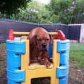 Photo of Jub