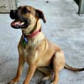 Photo of Frida (On Trial 26/6/16)