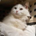 Photo of Mia