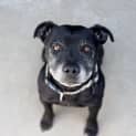 Photo of Emmett