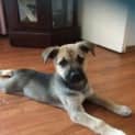 Photo of Tinkerbelle