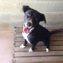 Photo of Sox