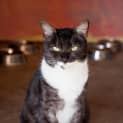 Photo of Pammi