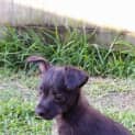 Photo of Ralph 