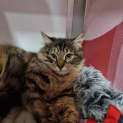 Photo of Anastasia