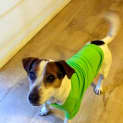Photo of Eddie The Brave!