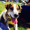 Photo of Eddie The Brave!