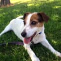 Photo of Eddie The Brave!