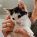 Photo of Olivia