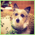Photo of Lucy