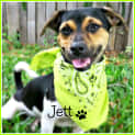 Photo of Jett
