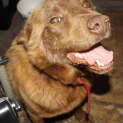 Photo of Kaleb