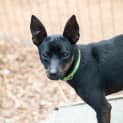 Photo of Taco
