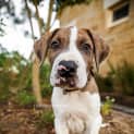 Photo of Murrumba