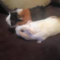 Photo of Salsa And Tango
