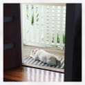 Photo of Honey