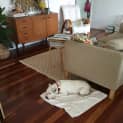 Photo of Honey