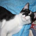 Photo of Evie 