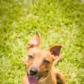 Photo of Kirri
