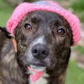 Photo of Trixi Lou