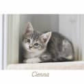 Photo of Cienna