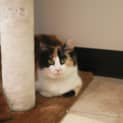 Photo of Melodee