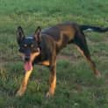 Photo of Sly
