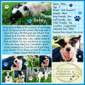Photo of Petey