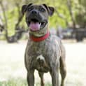 Photo of Roxanne ** I'm Just $150 For December! **
