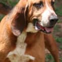 Photo of Ellie Mae