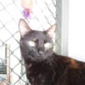 Photo of Freda