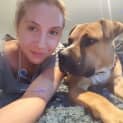 Photo of Boof *** Cat Friendly & A Love Bug ***