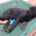 Photo of Zara *On Trial In Her New Home*