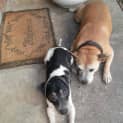 Photo of Sasha And Butch