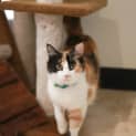 Photo of Melodee