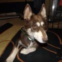 Photo of Rhemi
