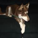 Photo of Rhemi