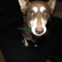 Photo of Rhemi
