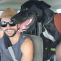 Photo of Pirate *Adoption Pending*