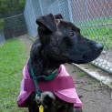 Photo of Tess
