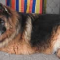 Photo of Valerie On Trial In Her New Home