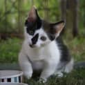 Photo of Jett * $50 Only *